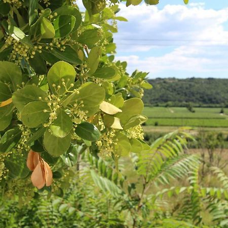 Vila Flora Sečovlje المظهر الخارجي الصورة