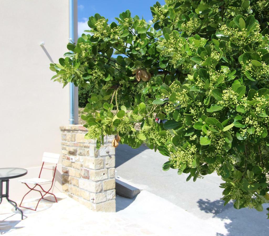 Vila Flora Sečovlje المظهر الخارجي الصورة